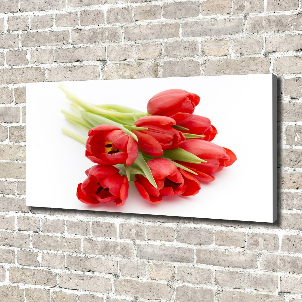 Foto obraz na płótnie Czerwone tulipany