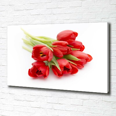 Foto obraz na płótnie Czerwone tulipany