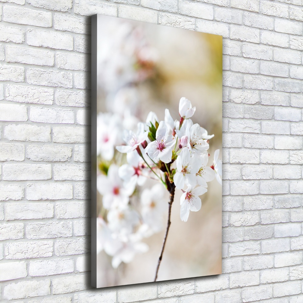 Foto obraz canvas pionowy Kwiaty wiśni
