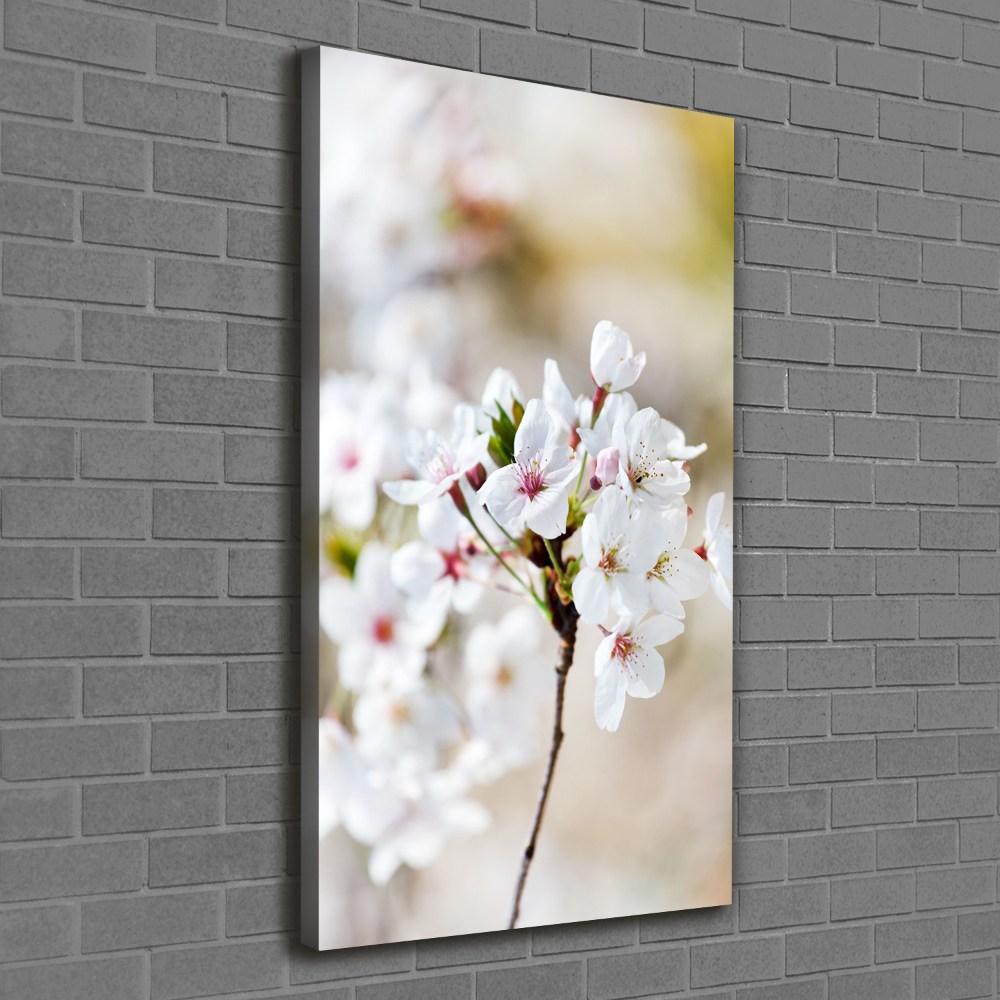 Foto obraz canvas pionowy Kwiaty wiśni