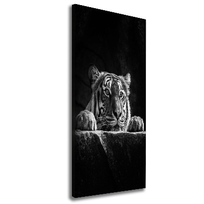 Nowoczesny fotoobraz canvas na ramie pionowy Tygrys
