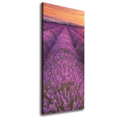 Foto obraz canvas pionowy Pole lawendy