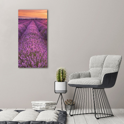 Foto obraz canvas pionowy Pole lawendy