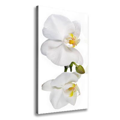 Foto obraz na płótnie pionowy Biała orchidea