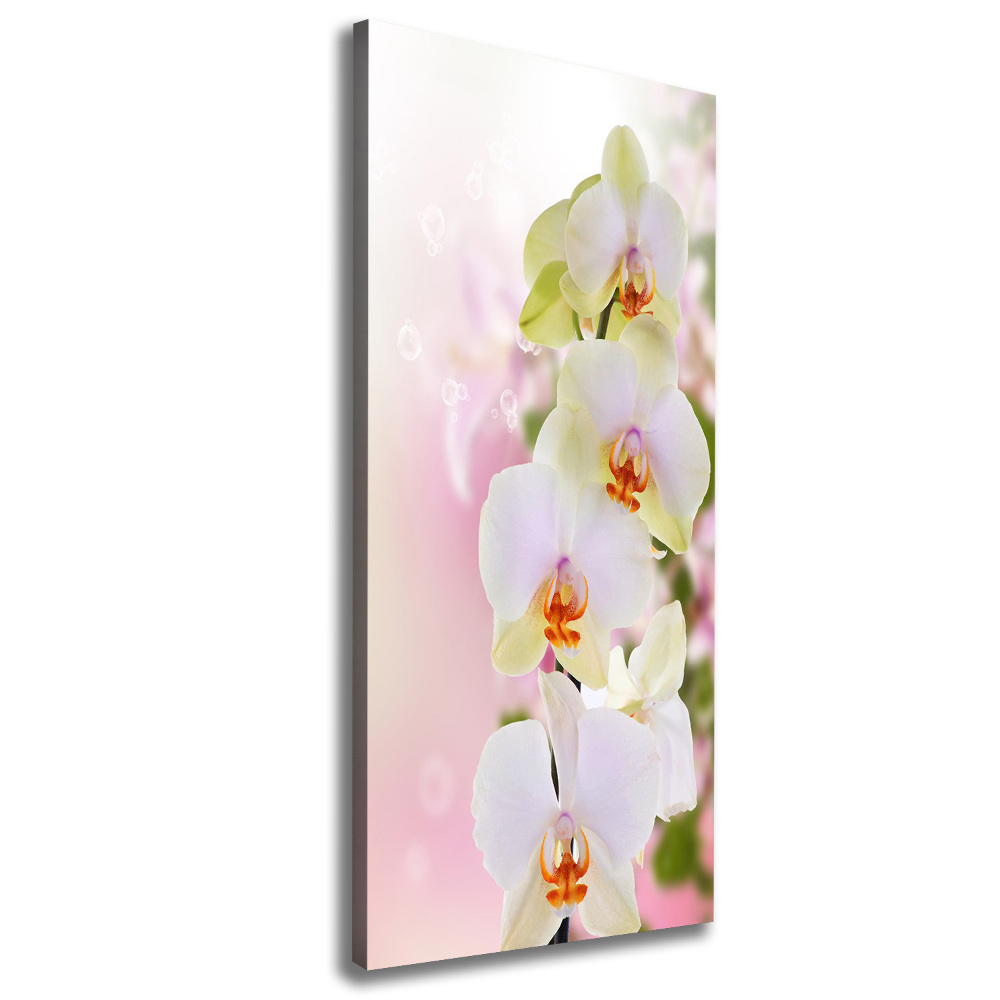 Foto obraz na płótnie pionowy Biała orchidea