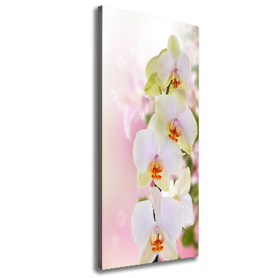 Foto obraz na płótnie pionowy Biała orchidea