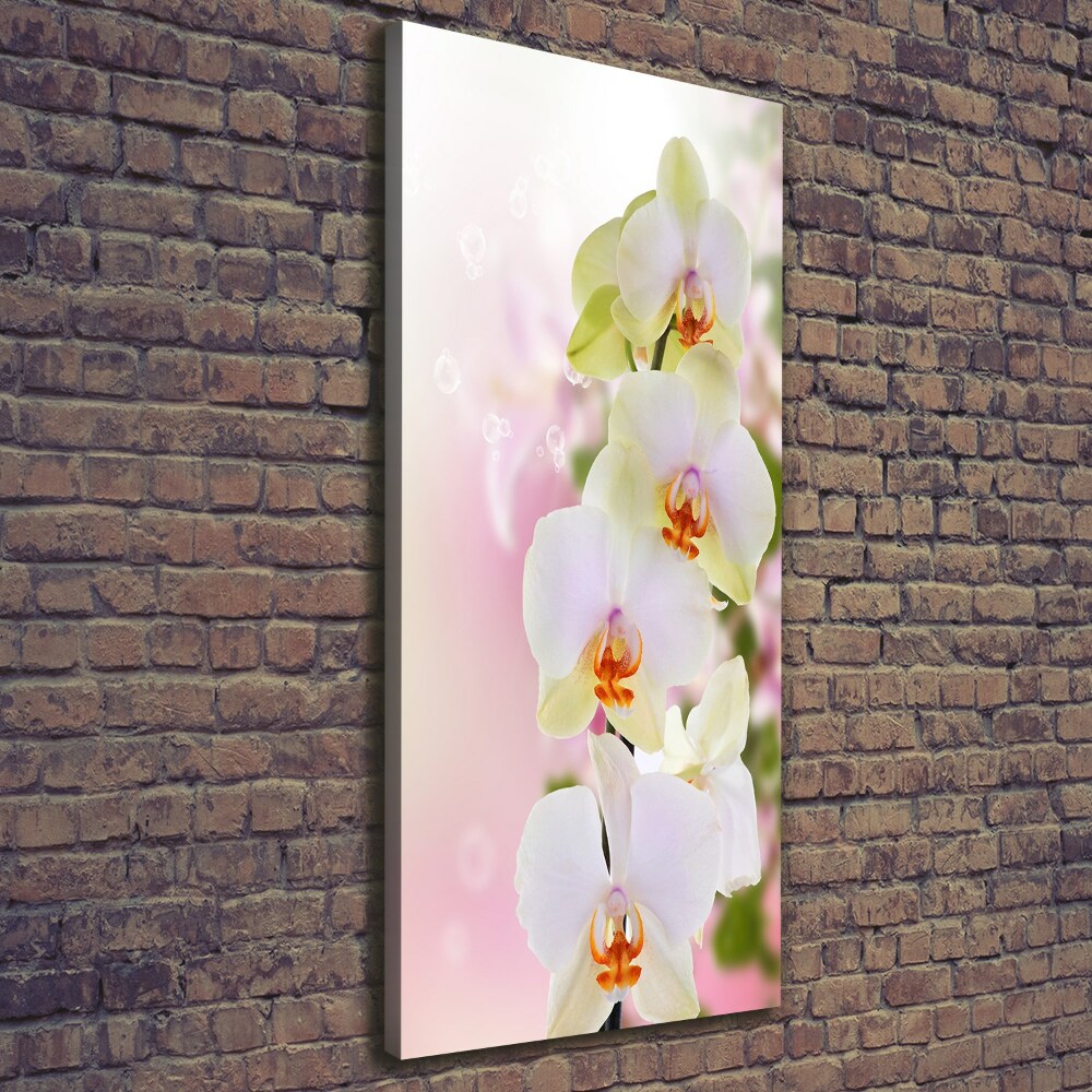 Foto obraz na płótnie pionowy Biała orchidea