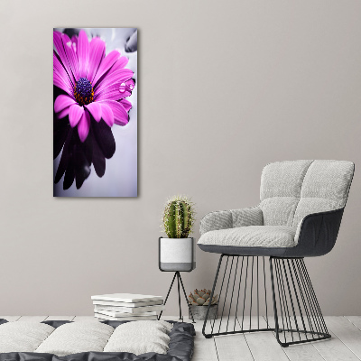 Foto-obraz canvas do salonu Różowa gerbera
