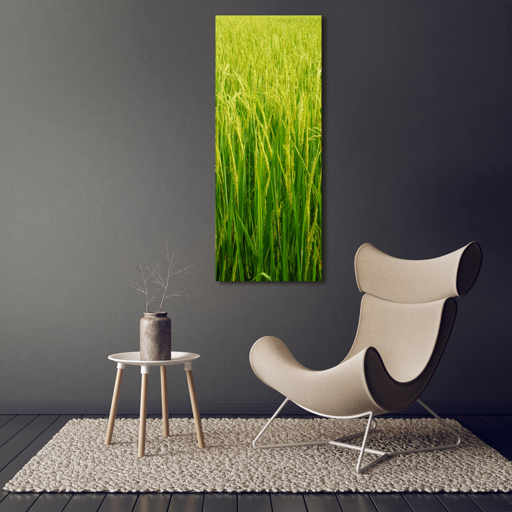 Foto-obraz canvas do salonu Plantacja ryżu