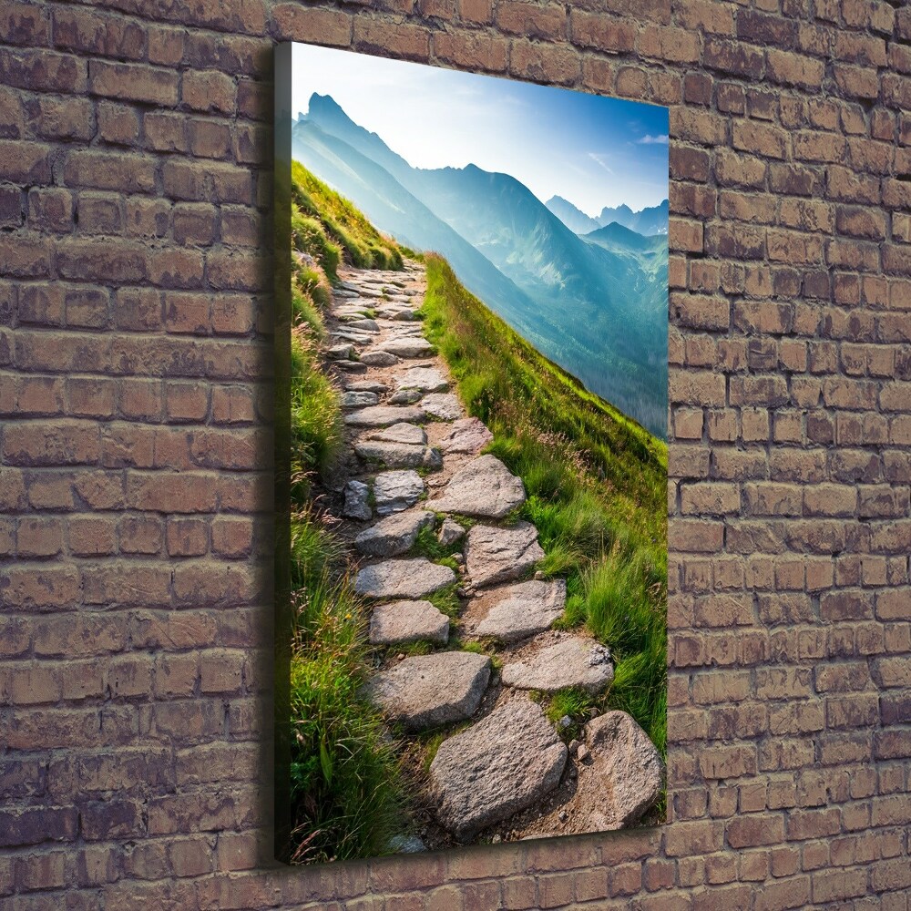 Foto obraz canvas pionowy Górski szlak