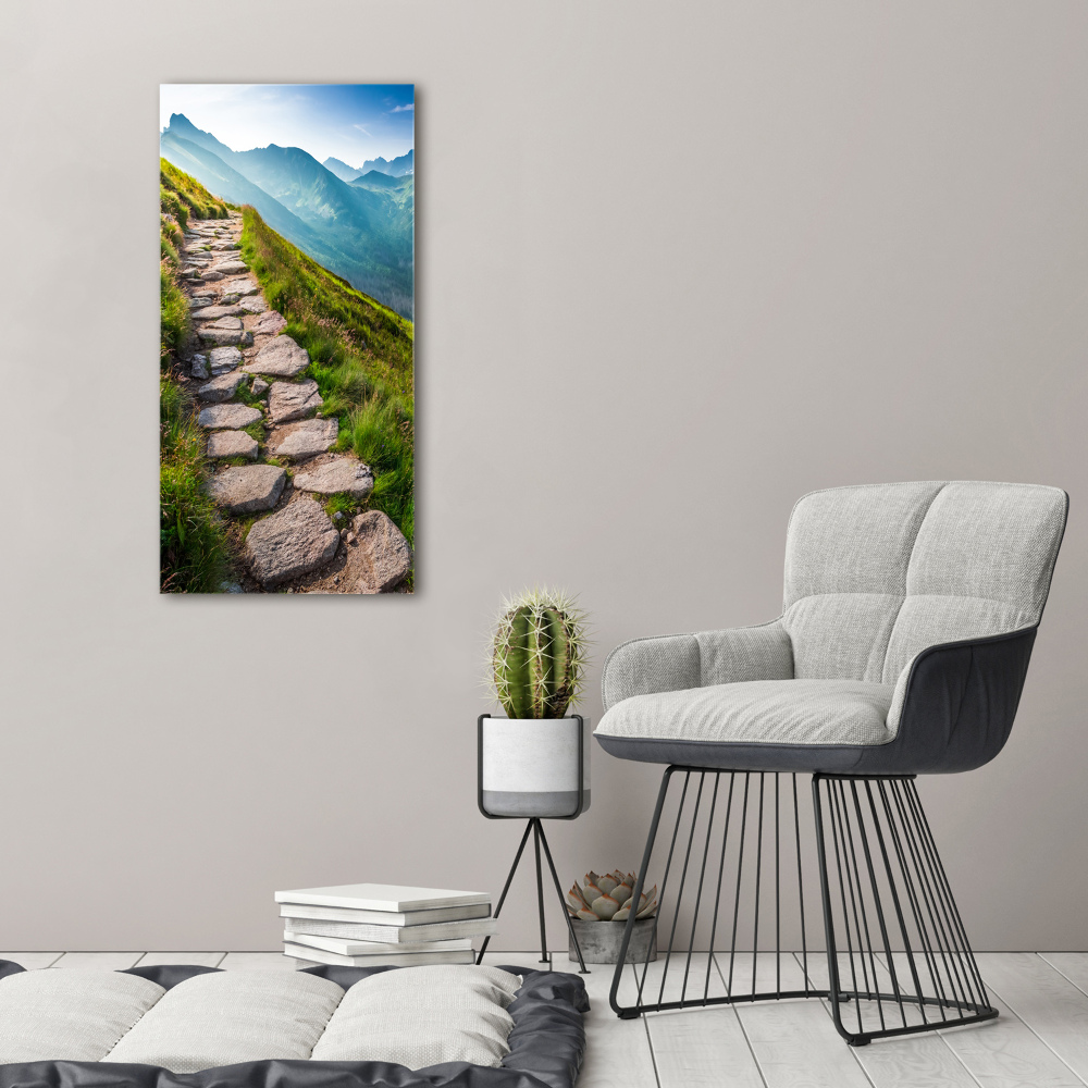 Foto obraz canvas pionowy Górski szlak