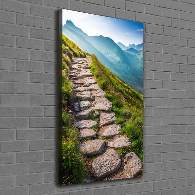 Foto obraz canvas pionowy Górski szlak