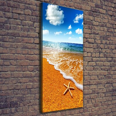 Foto obraz na płótnie pionowy Rozgwiazda na plaży