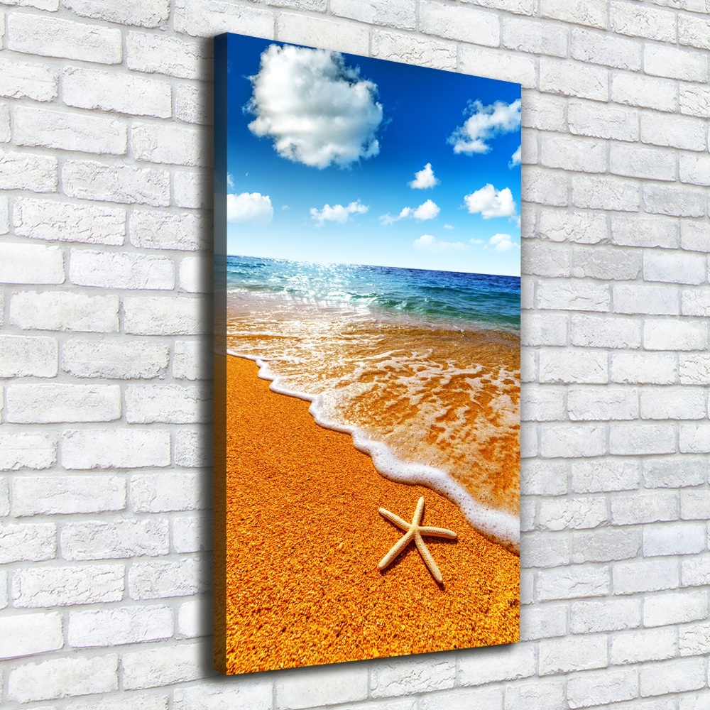 Foto obraz na płótnie pionowy Rozgwiazda na plaży