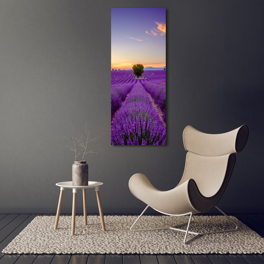 Foto obraz canvas pionowy Pole lawendy