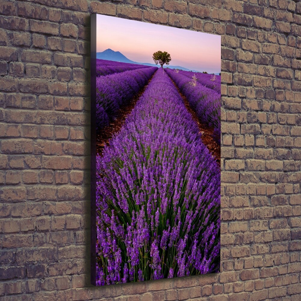 Foto obraz canvas pionowy Pole lawendy