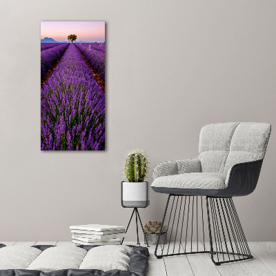 Foto obraz canvas pionowy Pole lawendy
