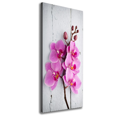 Foto obraz na płótnie pionowy Różowa orchidea