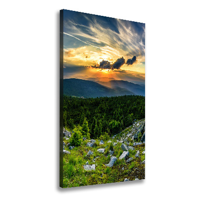 Foto obraz canvas pionowy Panorama gór