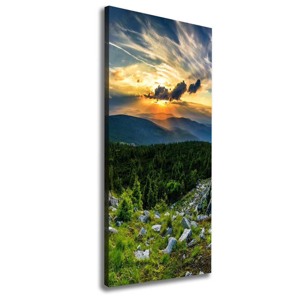 Foto obraz canvas pionowy Panorama gór