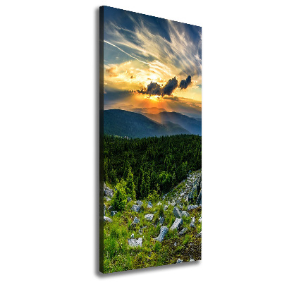 Foto obraz canvas pionowy Panorama gór