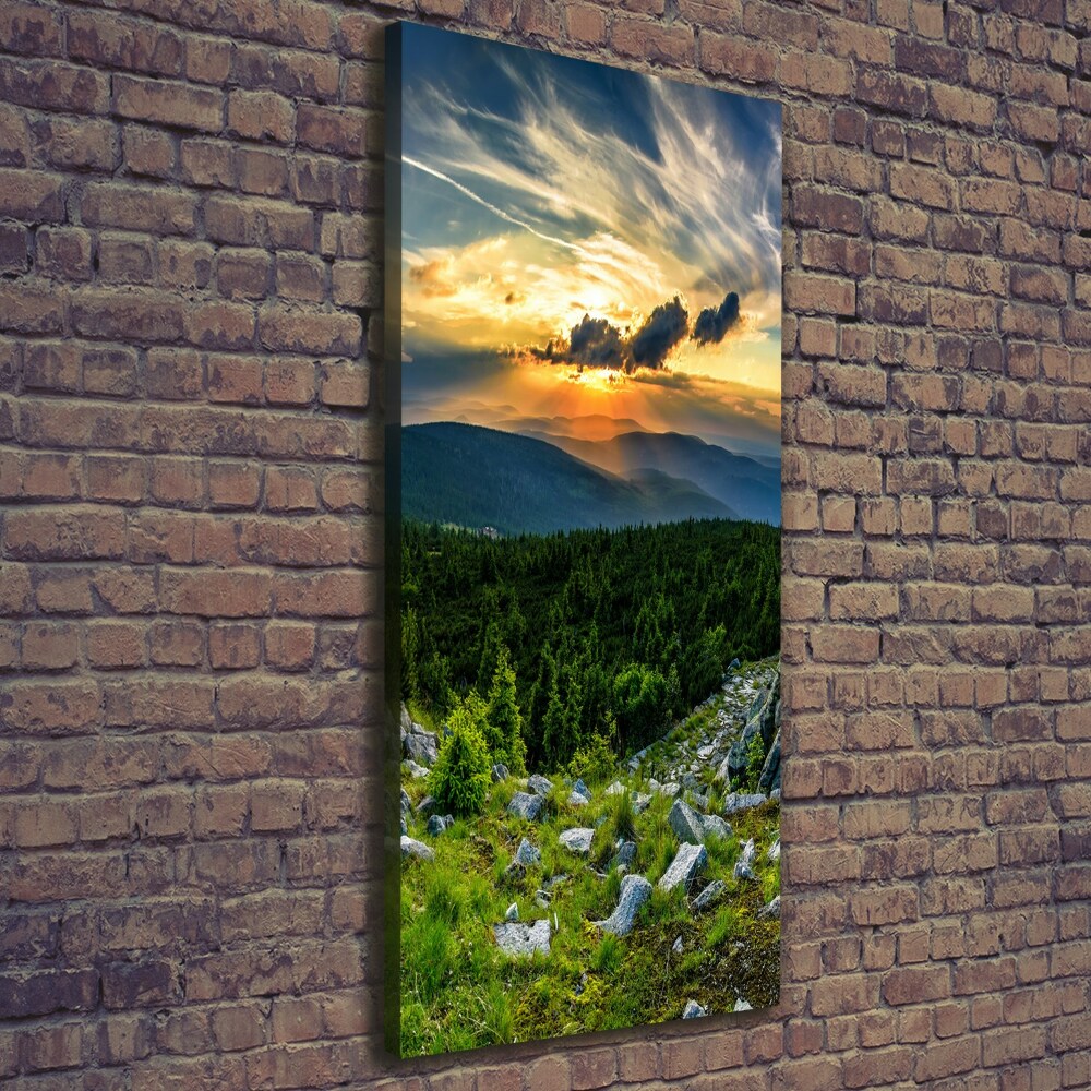 Foto obraz canvas pionowy Panorama gór