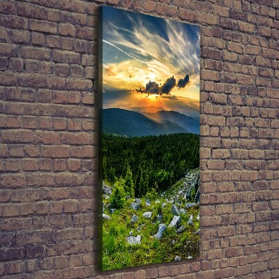 Foto obraz canvas pionowy Panorama gór