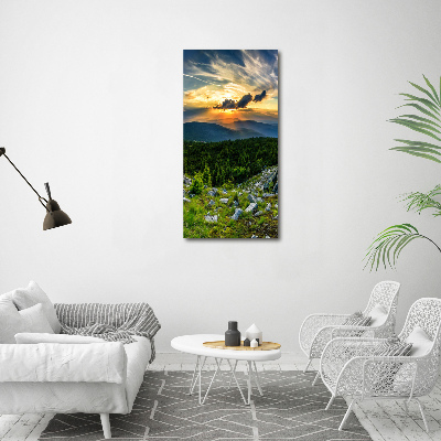 Foto obraz canvas pionowy Panorama gór