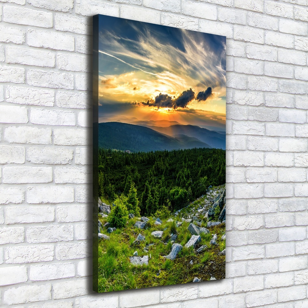 Foto obraz canvas pionowy Panorama gór