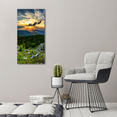 Foto obraz canvas pionowy Panorama gór