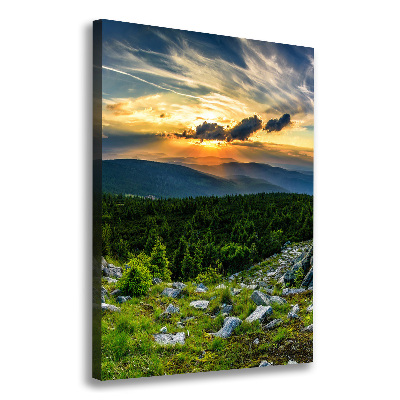 Foto obraz canvas pionowy Panorama gór