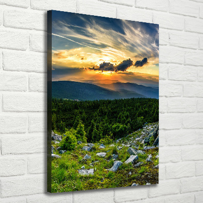 Foto obraz canvas pionowy Panorama gór