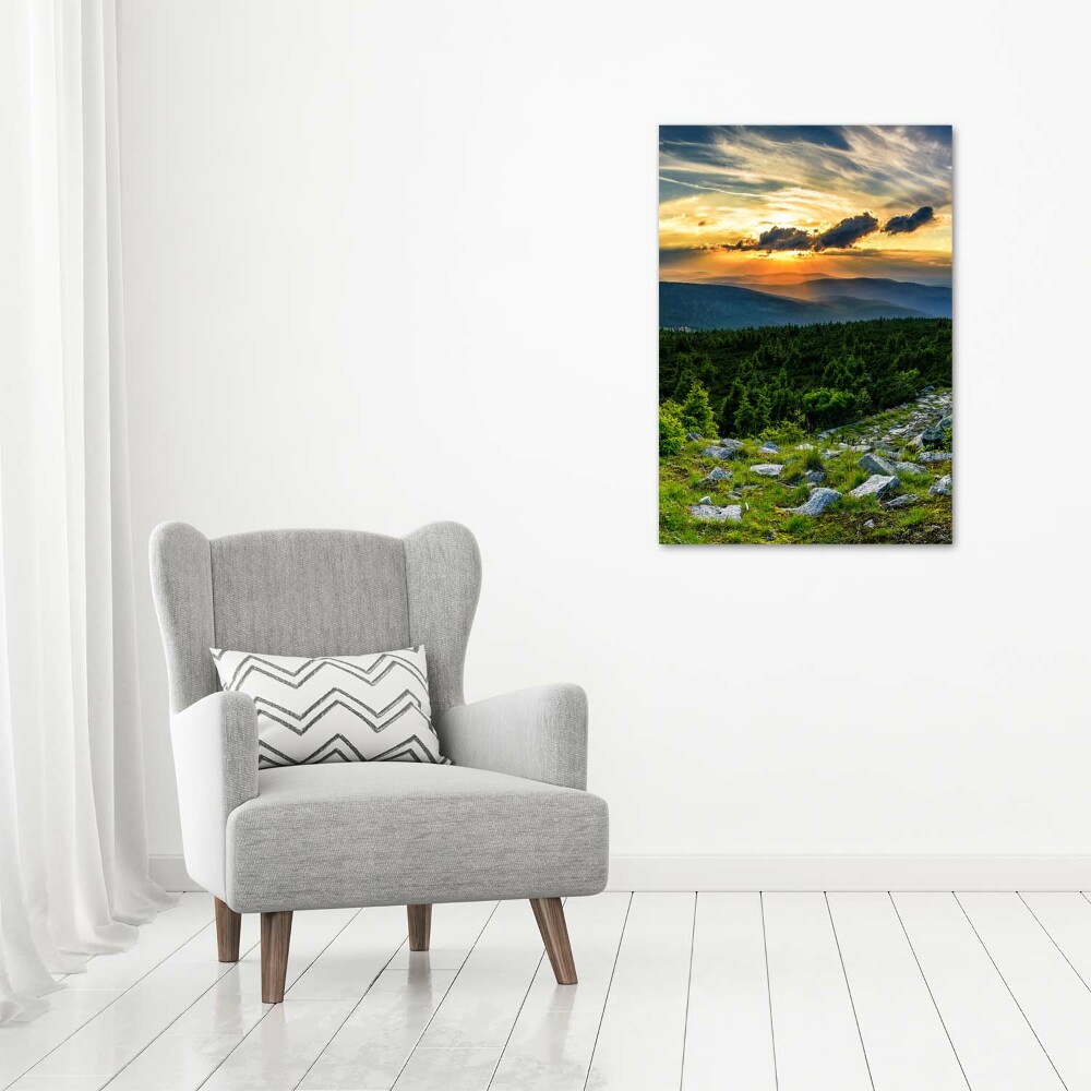 Foto obraz canvas pionowy Panorama gór
