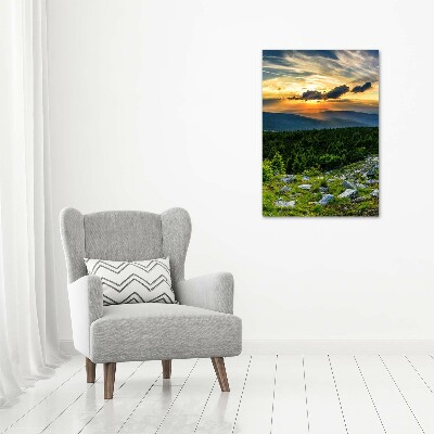Foto obraz canvas pionowy Panorama gór
