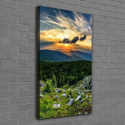 Foto obraz canvas pionowy Panorama gór