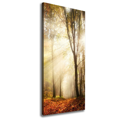 Foto obraz canvas pionowy Las jesienią