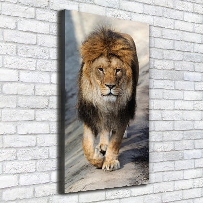Foto obraz canvas pionowy Lew