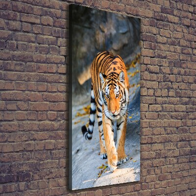 Nowoczesny fotoobraz canvas na ramie pionowy Tygrys
