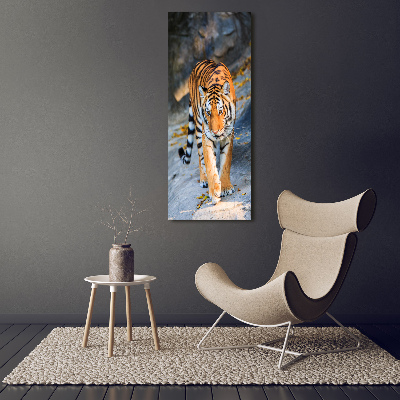Nowoczesny fotoobraz canvas na ramie pionowy Tygrys