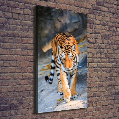 Nowoczesny fotoobraz canvas na ramie pionowy Tygrys
