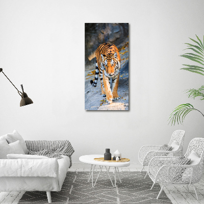 Nowoczesny fotoobraz canvas na ramie pionowy Tygrys
