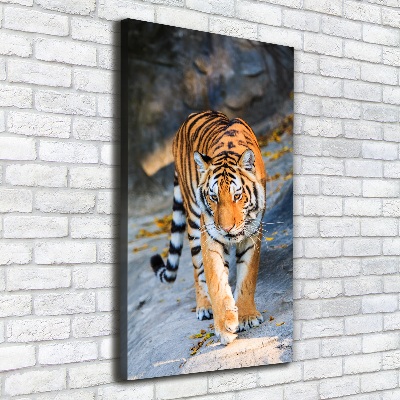 Nowoczesny fotoobraz canvas na ramie pionowy Tygrys