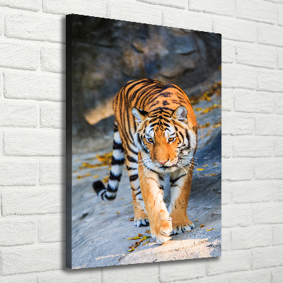 Nowoczesny fotoobraz canvas na ramie pionowy Tygrys