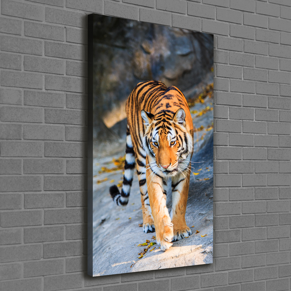 Nowoczesny fotoobraz canvas na ramie pionowy Tygrys
