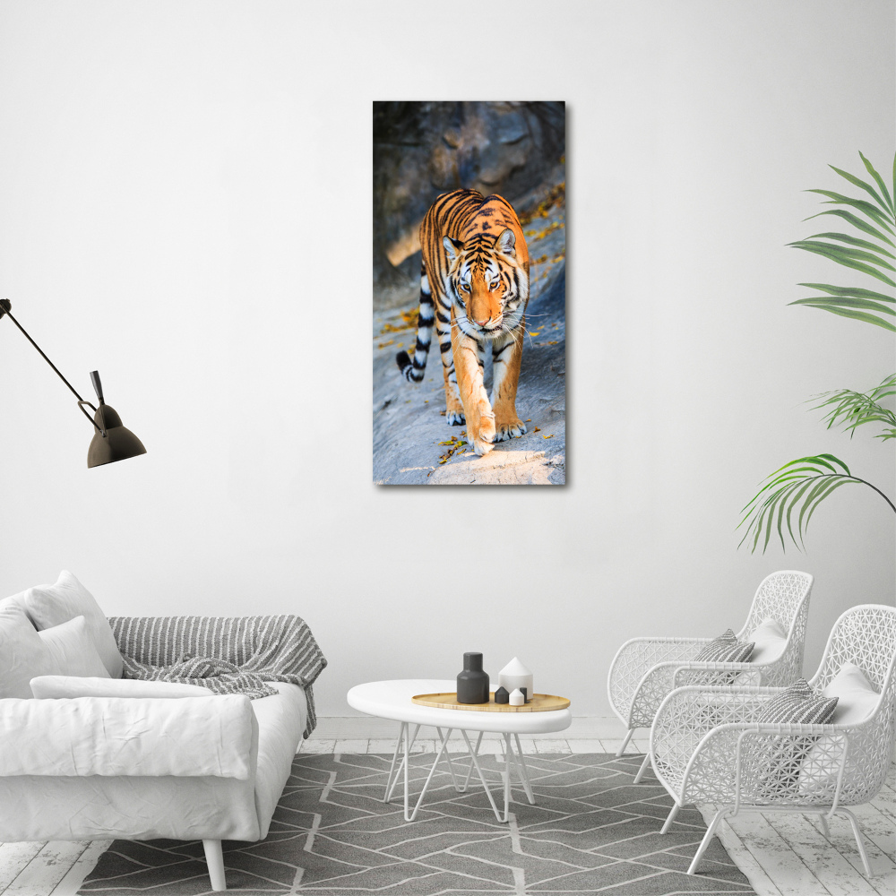 Nowoczesny fotoobraz canvas na ramie pionowy Tygrys