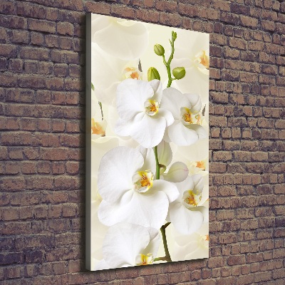 Foto obraz na płótnie pionowy Biała orchidea