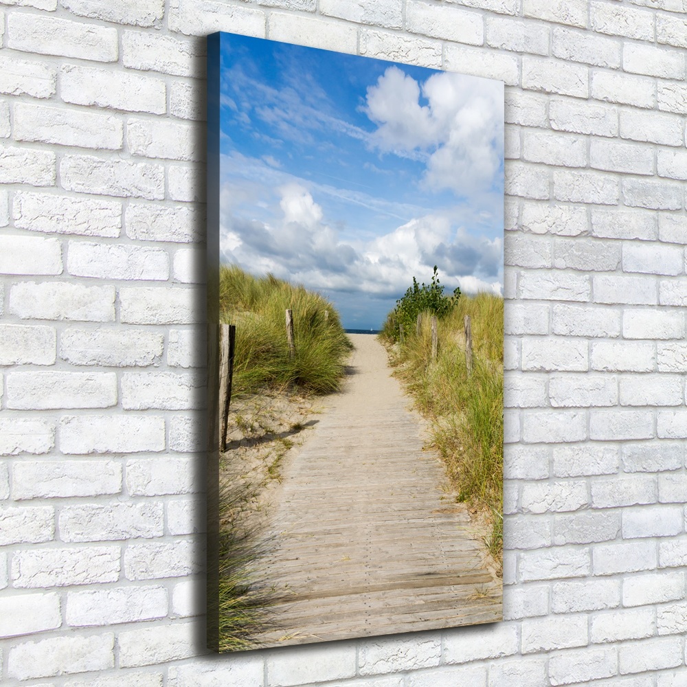 Foto obraz na płótnie pionowy Ścieżka na plażę