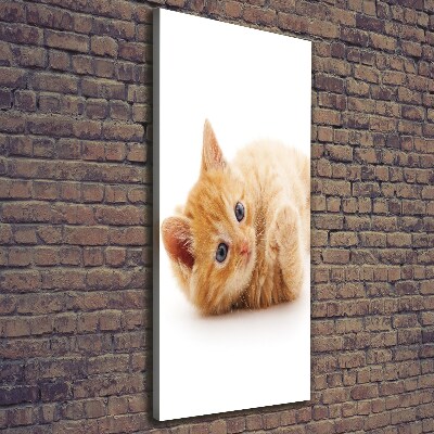 Foto obraz canvas pionowy Mały rudy kot