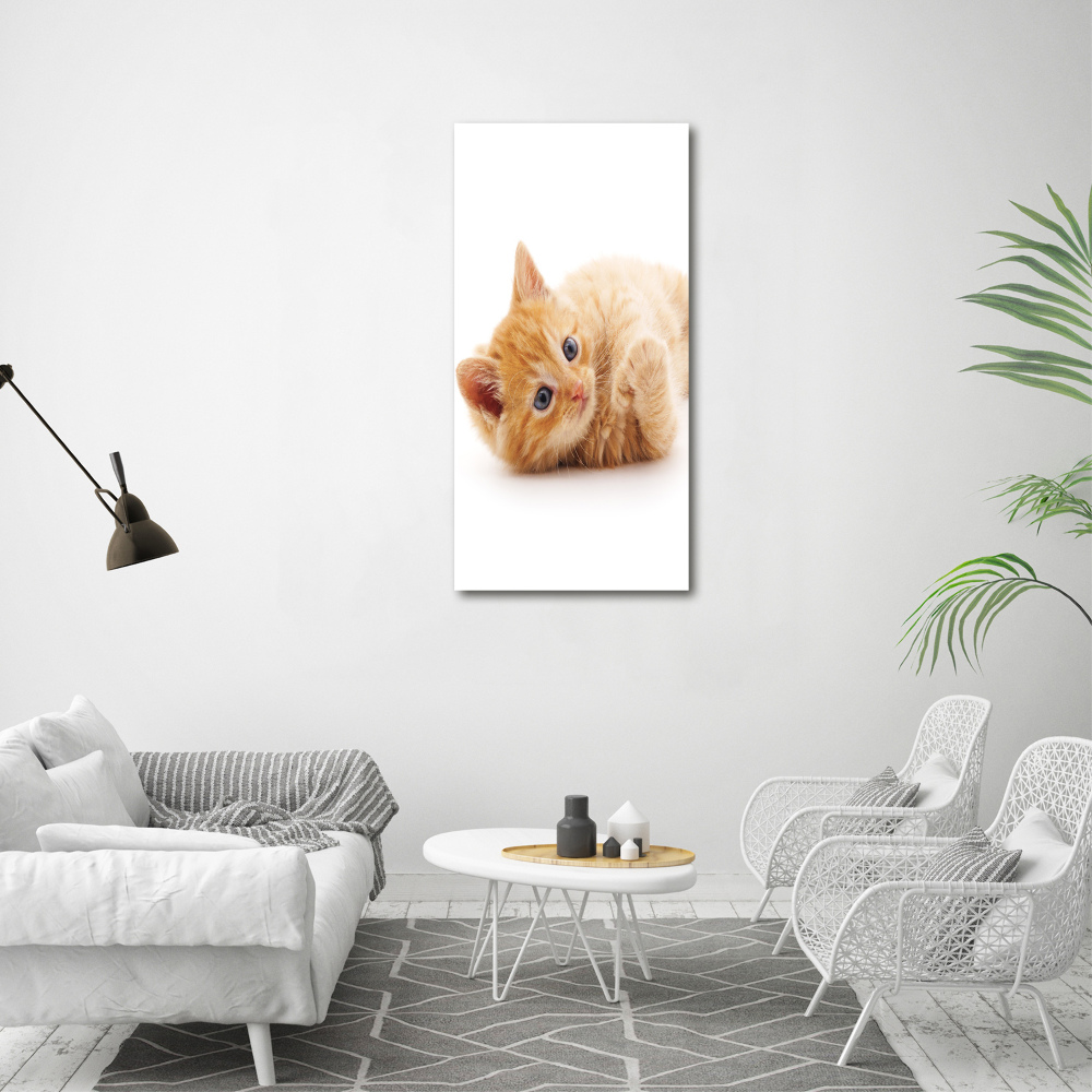 Foto obraz canvas pionowy Mały rudy kot