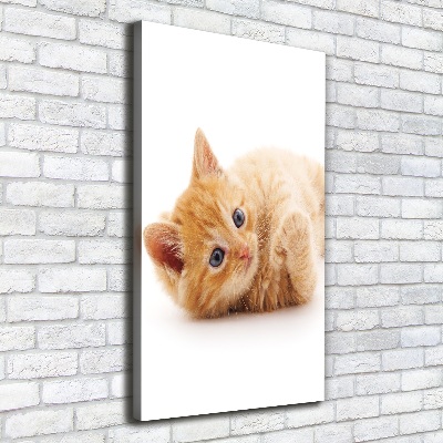 Foto obraz canvas pionowy Mały rudy kot